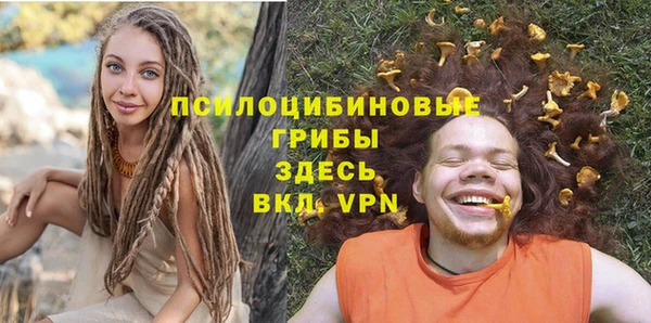 PSILOCYBIN Верея