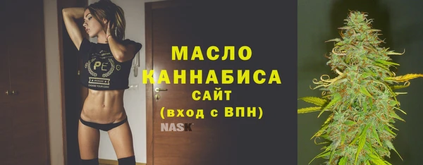 тгк Бородино
