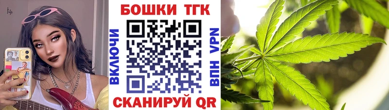 omg вход  Десногорск  Шишки марихуана конопля 